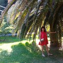  , , 58  -  4  2017   !