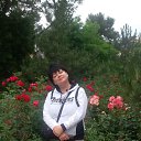 ���� �����, ������ - ��������� 28 �������� 2017 � ������ �������