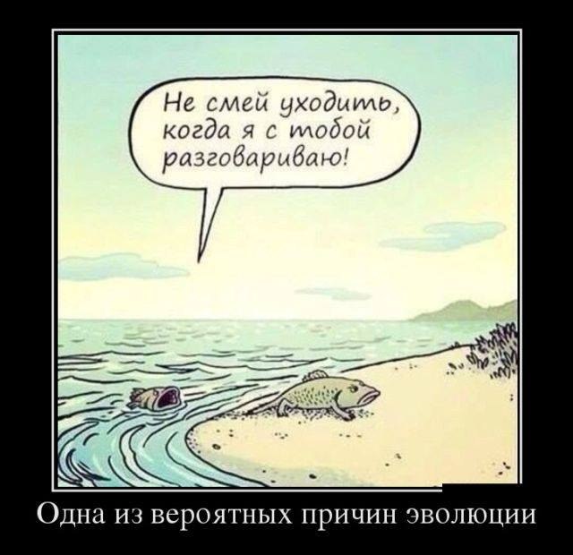 Анекдоты про эволюцию. Не смейте уходить. Эволюция и деградация. Эволюция человека шутка. Не смейте уходить.