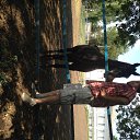 ���� ����, �������, 58 ��� - ��������� 7 ������� 2017 � ������ ���� ����������