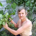 ����� �������� �� ������� ���� ����������