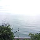 ���� �������, ���������, 43 ���� - ��������� 26 ��� 2017 � ������ �������� 24.05.2017�.�