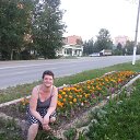 ���� �������, ����������, 44 ���� - ��������� 16 ���� 2017 � ������ ���� ����������