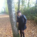 ���� ���������, ����, 61 ��� - ��������� 12 ������� 2017