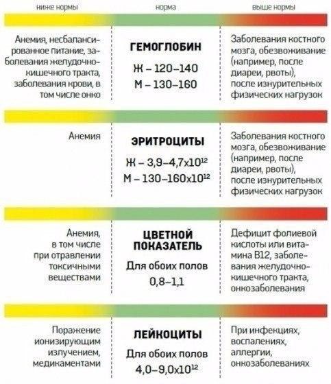 Как расшифровать анализ крови? #полезное@rules4life