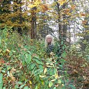 ���� ������, �����-���������, 58 ��� - ��������� 26 ������� 2017 � ������ ���� ����������