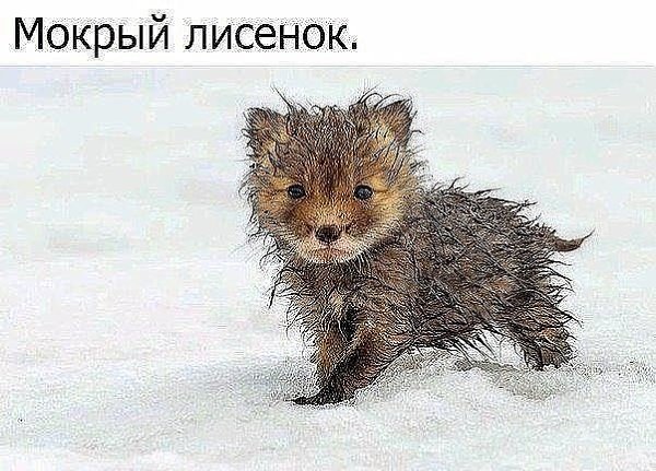 Comedy Club - 5  2017  07:09
