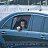 ���� Ivan, ������, 36 ��� - ��������� 16 ������� 2017