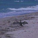 ������������ �� ������� ���� ����������