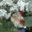 ���� ������, ��������, 50 ��� - ��������� 1 ���� 2017 � ������ �������