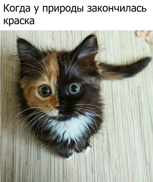  - 21  2017  03:33