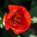 ���� ������, ������, 49 ��� - ��������� 3 ��� 2017 � ������ ������� Nikon�