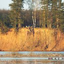 ���� ������, �������, 42 ���� - ��������� 14 ������� 2017