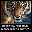 ���� ������, ������, 61 ��� - ��������� 3 �������� 2017 � ������ ���� ����������