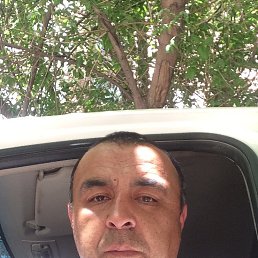 ��������� �������, ������, 49 ���