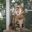 ���� E����, �����-���������, 57 ��� - ��������� 23 ���� 2017 � ������ ������ ��������