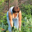 ��� ������ ������� 30 ��� �� ������� ���� ����������