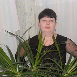 ���� �����, ������, 48 ��� - ��������� 5 ������� 2017