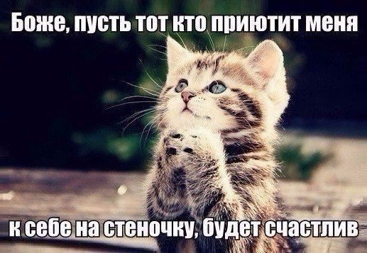    - 6  2017  11:14