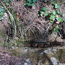  , , 60  -  11  2017     ,,01.04.17