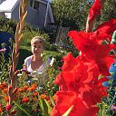 ���� ������, �����-���������, 64 ���� - ��������� 19 ������� 2017 � ������ ���� ����������