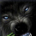 . �� ������� ���� ����������