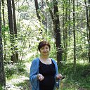 ���� �������, ����, 66 ��� - ��������� 8 ������� 2017 � ������ ������ ��������