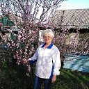 ���� ����, ������ - ��������� 8 ��� 2017 � ������ ���������� ������