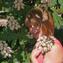 ���� �����, ������������ - ��������� 23 ������ 2017 � ������ ���� ����������