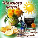 ���� �������, ��������, 46 ��� - ��������� 28 ��� 2017 � ������ ���� ����������