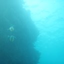 ���� ��������, �����, 57 ��� - ��������� 19 ������� 2017 � ������ ������� 2017�