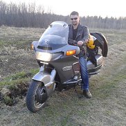 , 33 , 