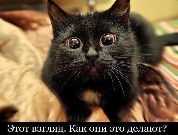 ��� ���� � ����� �� �� - 31 ������� 2017 � 21:05