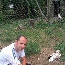 ���� �����, ������-��-����, 42 ���� - ��������� 22 ������� 2017