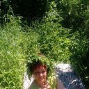 ���� �������, �����������, 44 ���� - ��������� 22 ���� 2017 � ������ ���������� ������