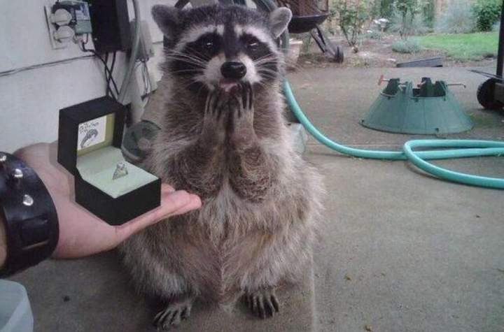 "���� �������!"