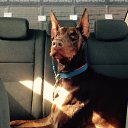 ���� ���/120/, �����-��������� - ��������� 8 ������� 2017 � ������ �����