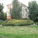 ������ 2017 08 ,���������� �� ������� ���� ����������