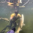 ���� �����, ������, 44 ���� - ��������� 11 ������ 2017 � ������ ������ ��������