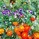 ���� ����, ������-���������, 68 ��� - ��������� 13 ������� 2017