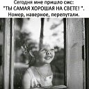 ���� �����, �������� - ��������� 14 �������� 2017 � ������ ���� ����������