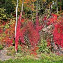 ������ � �����.....(���� �����) �� ������� ������ 2017�