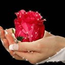 ���� �������, ������, 54 ���� - ��������� 24 ������� 2017 � ������ ���� ����������