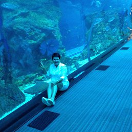 �������, �����, 60 ���