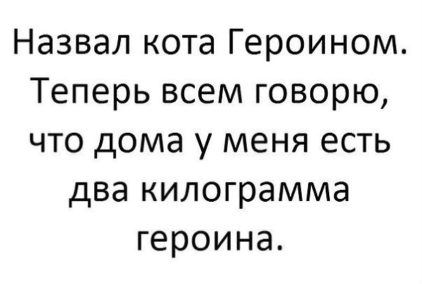  ! - 11  2017  03:51