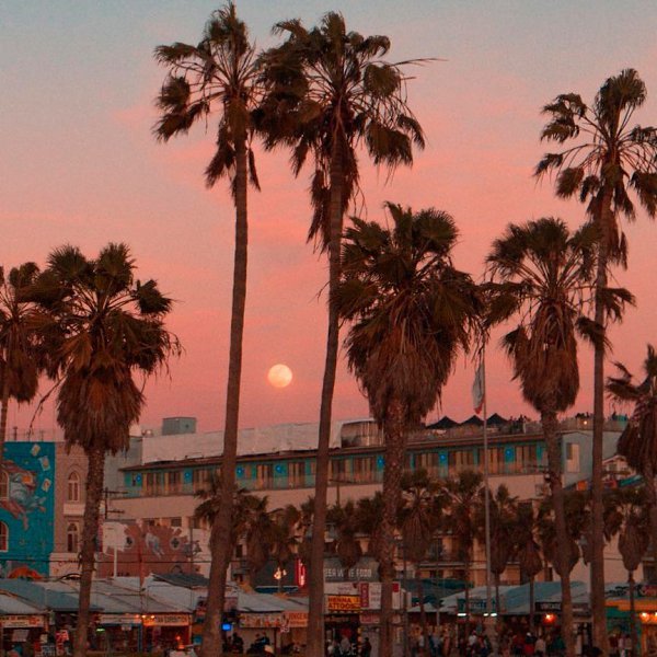 Коллекционирование вещей - это ещё не богатство. Позволить себе коллекционировать потрясающие ... - 6