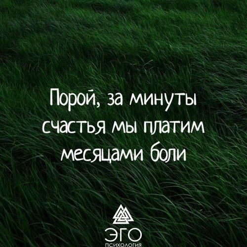  | ,  - 6  2017  10:57