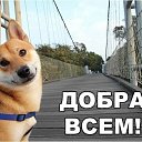 ���� ������, ������������ - ��������� 31 ���� 2017 � ������ ��������