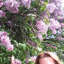  , -, 53  -  12  2017    