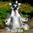 ���� ���������), ������ - ��������� 28 �������� 2017